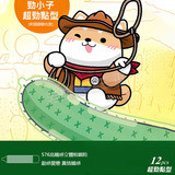 勁小子超勁點型(柴語錄聯名款)